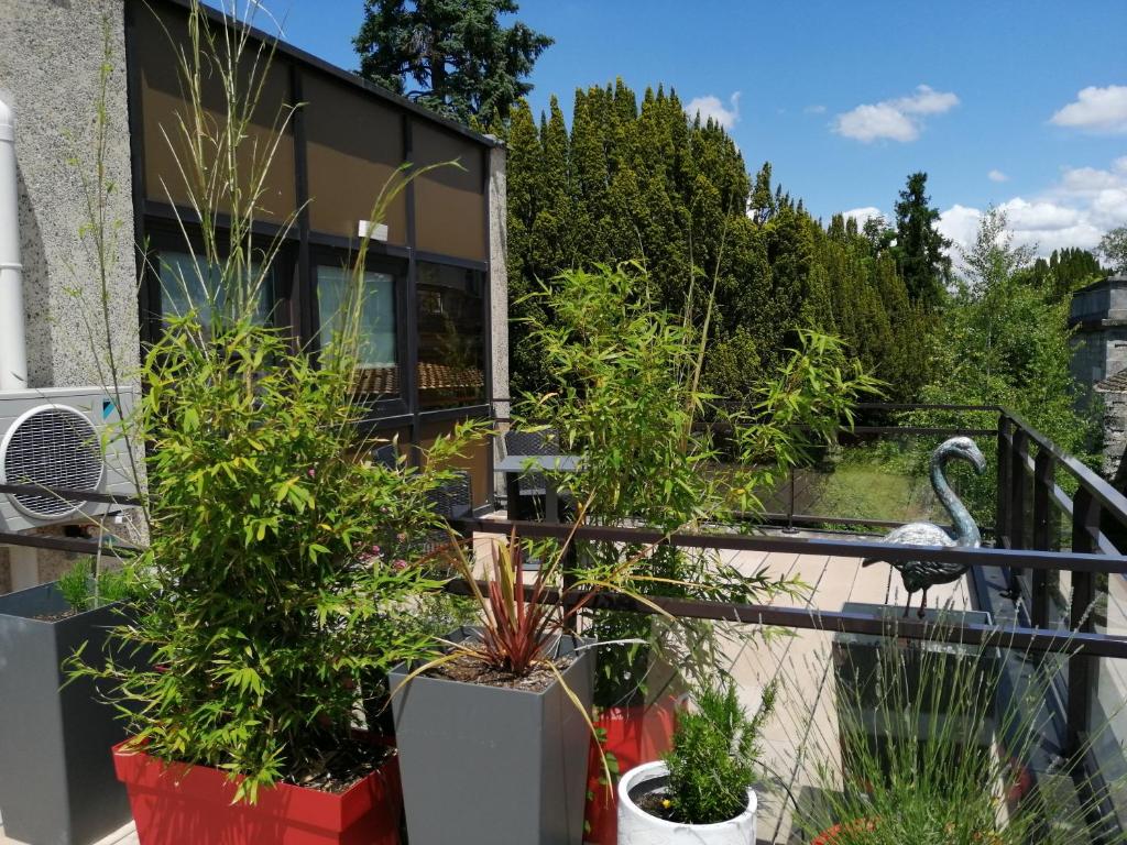 Appart-hôtel Chanzy / Angoulême - Appartement Supérieur