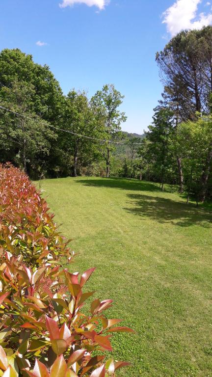 Zahrada ubytování B&B Oasi Verde