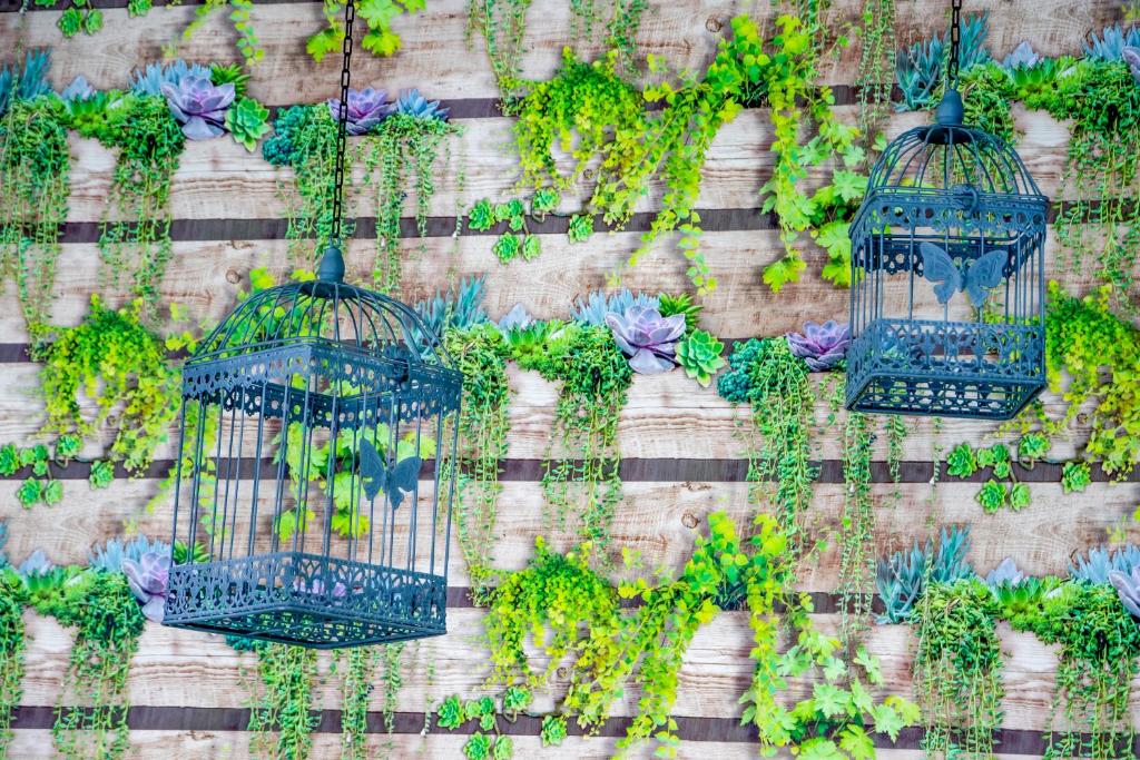 a wall with three bird cages filled with plants at ibis budget Paris Porte de Vanves in Vanves