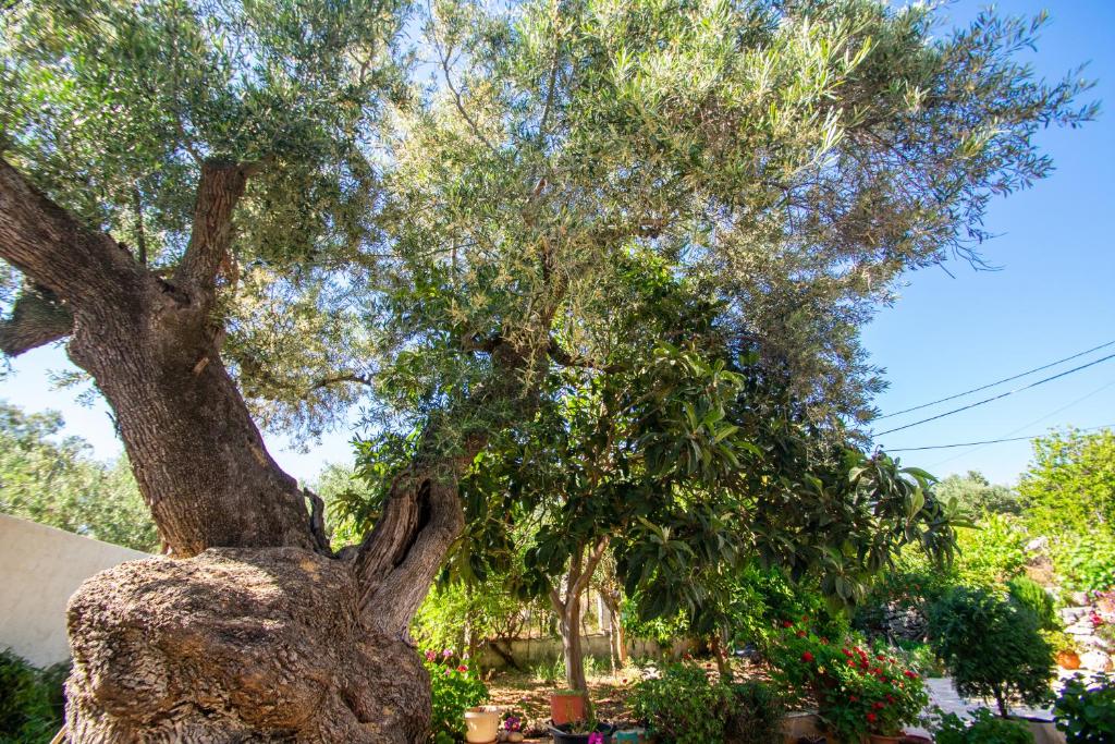 A garden outside SOHORO Forest Hill Apartment by "elite"
