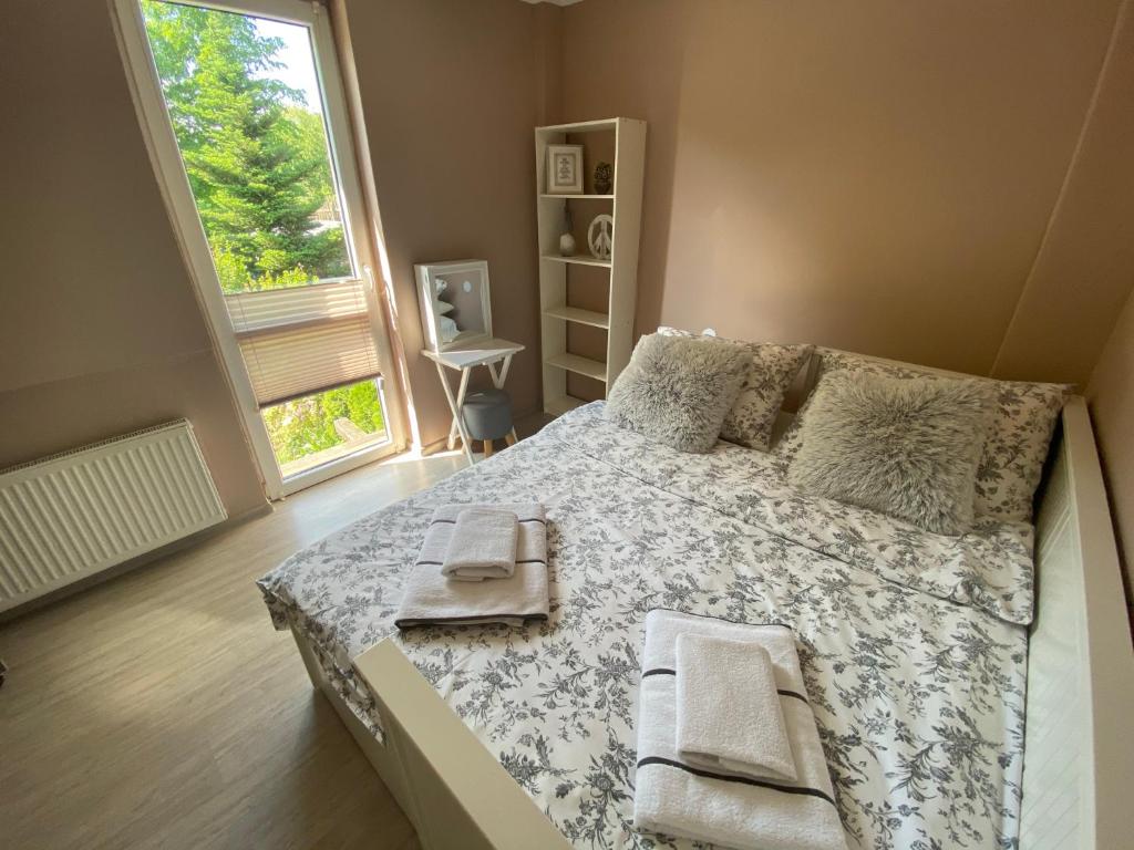 Willa nad Sołą guest house - 1