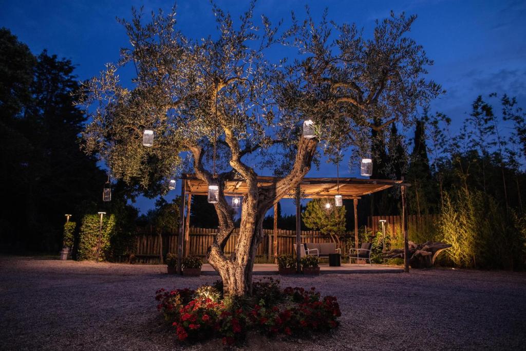 a tree in front of a house at night at Fuori le Mura in Paestum