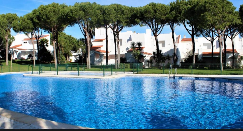 a large blue swimming pool in a park with trees at Lomas de Sancti Petri in Cádiz
