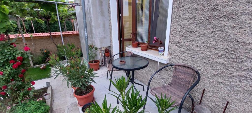 Zahrada ubytování Guest House Kukera