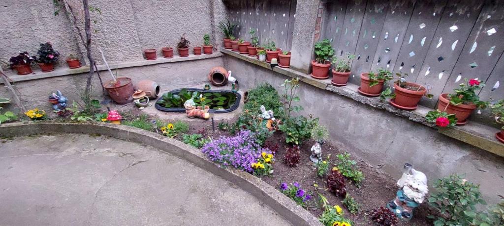 Zahrada ubytování Guest House Kukera