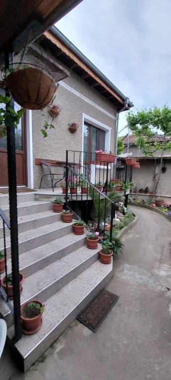 Zahrada ubytování Guest House Kukera