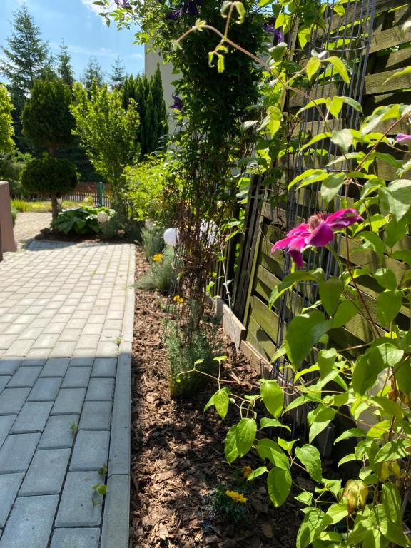 Willa nad Sołą guest house - 16