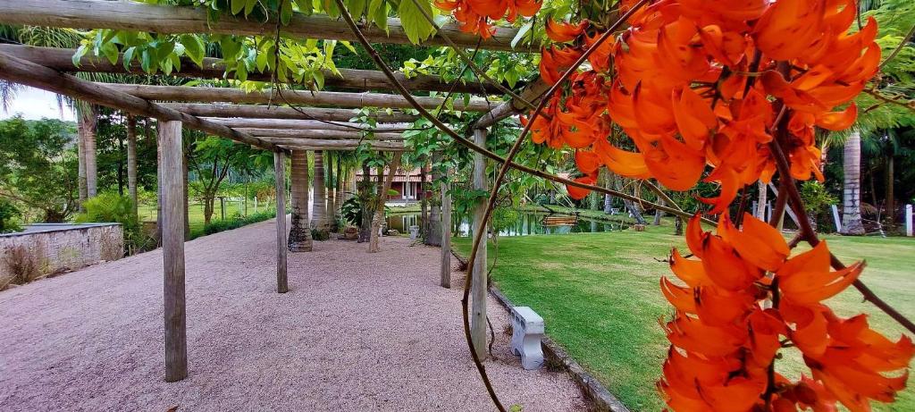  Red House em Tijucas/SC