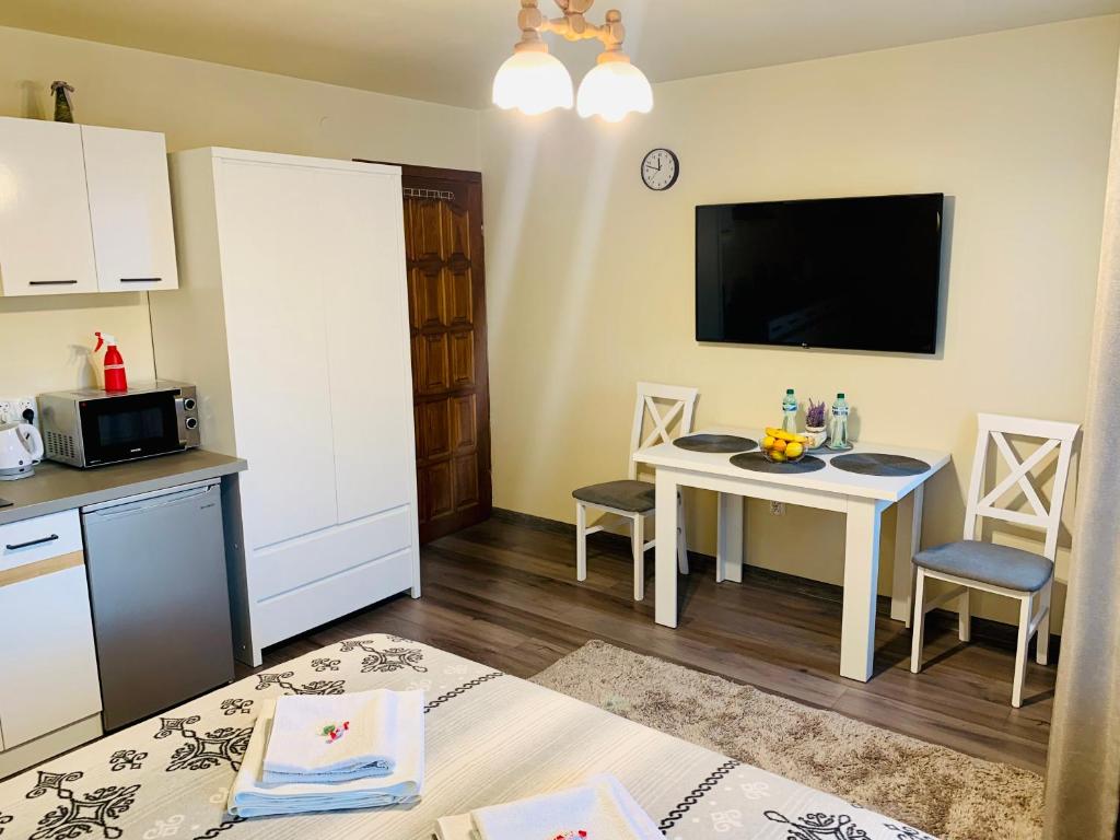 Kuchyň nebo kuchyňský kout v ubytování Apartamenty u Magika