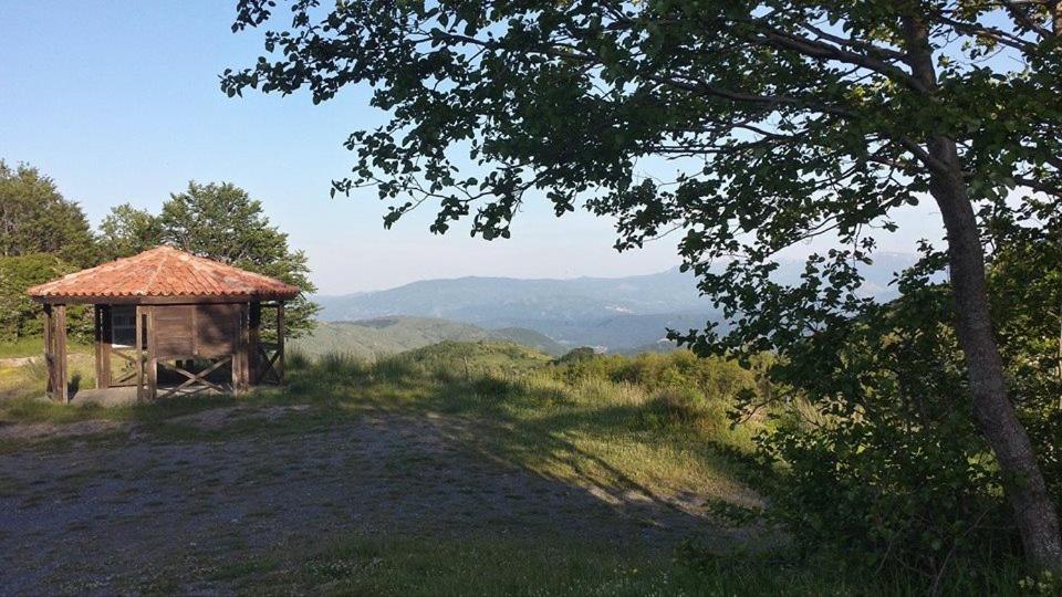 Příroda nedaleko bed and breakfast