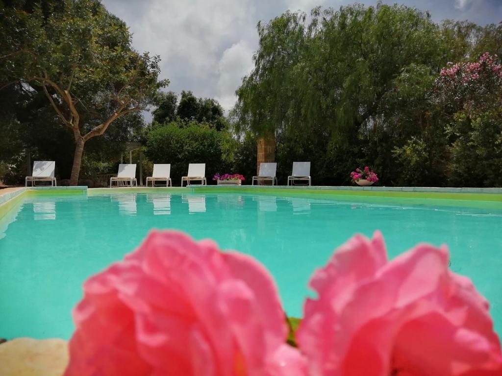a pink flower in front of a swimming pool at Masseria Pugliese Farm in Ostuni
