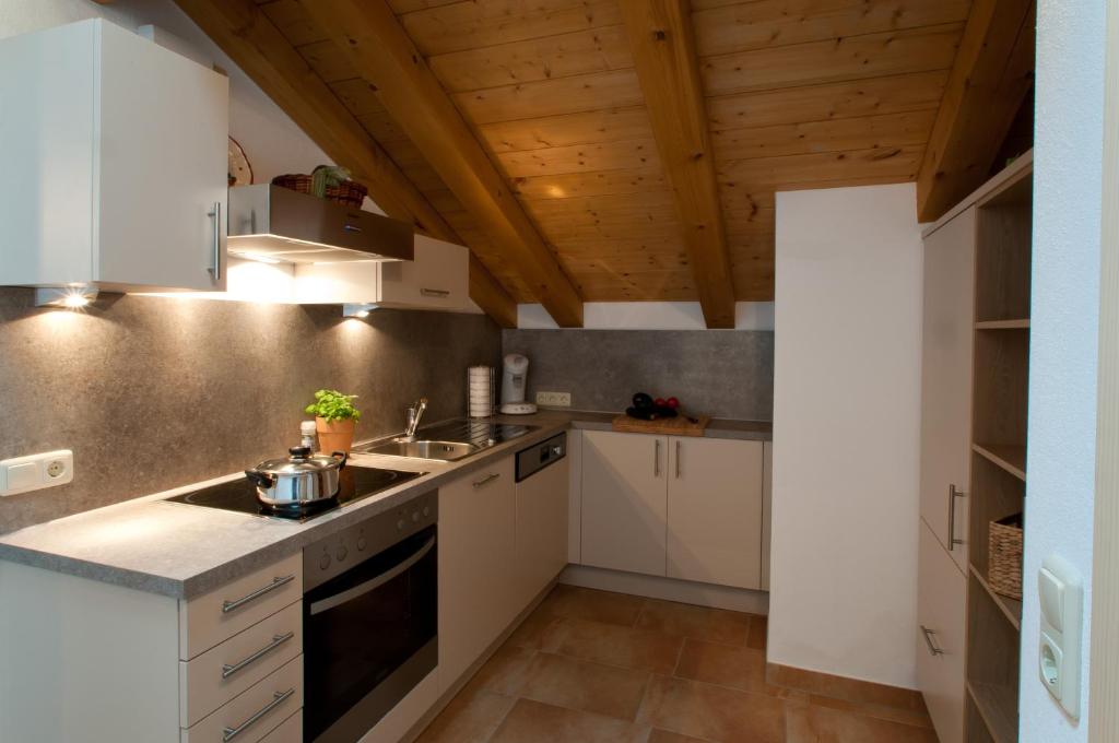 Kuchyň nebo kuchyňský kout v ubytování Hoderhof