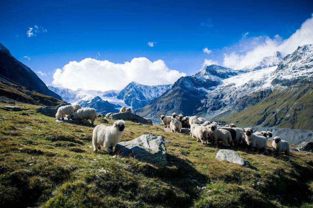 Tradition Julen Hotel - Resim 37