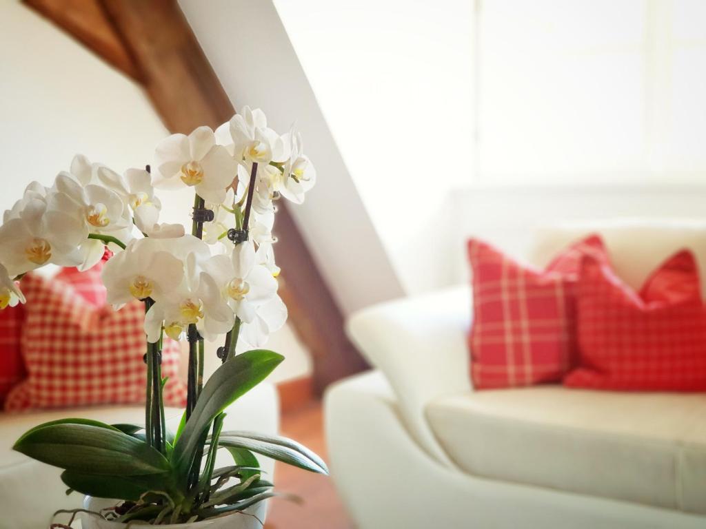 Posezení v ubytování Altstadthotel Molitor
