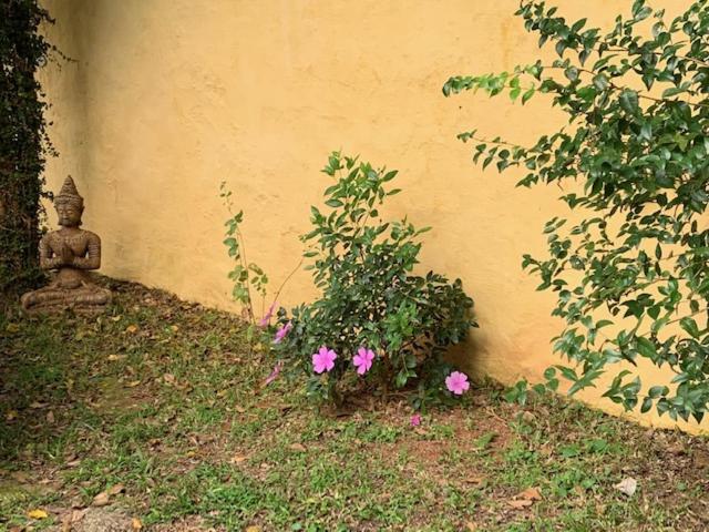  Chalés Bambá