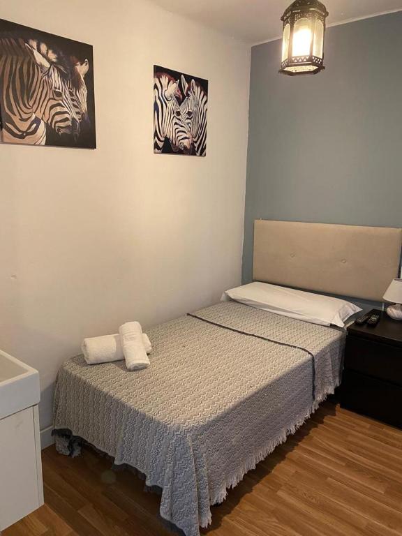 Hostal The Monkey Room - Single Room