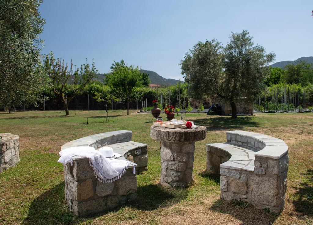 un gruppo di panche di pietra sedute in un campo di Villa Tsitreli a Sikia