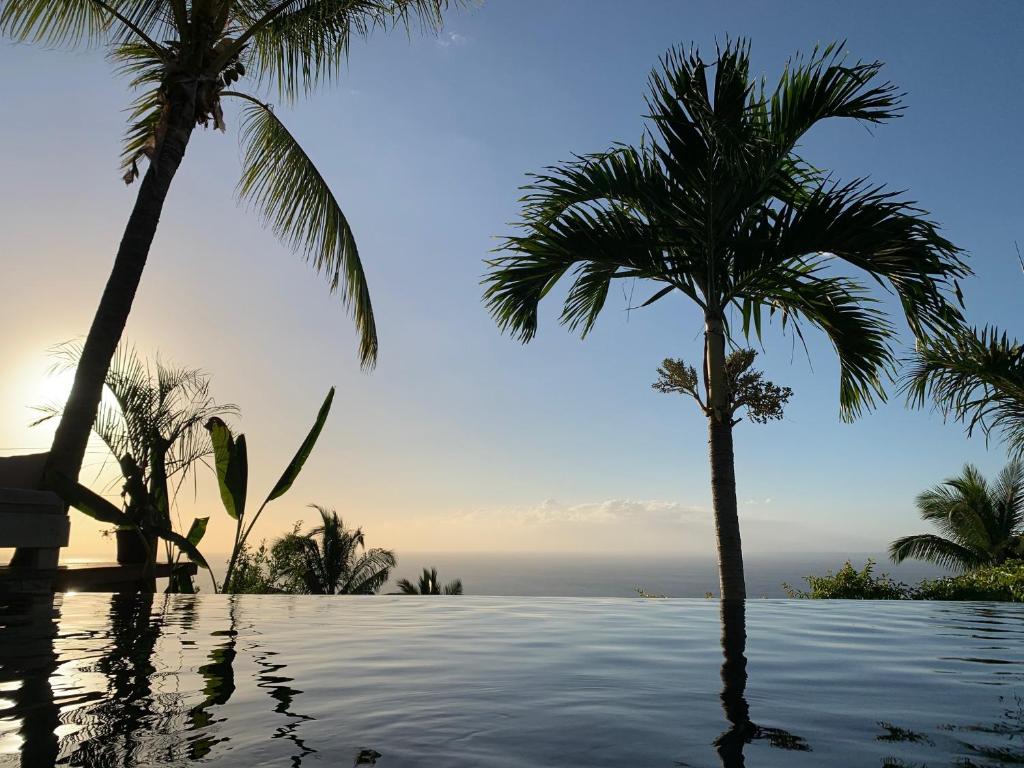 Deux palmiers et une piscine avec l'océan en arrière-plan dans l'établissement La Kaz Nana Sakifo - Maison d'hotes, à Saint-Paul
