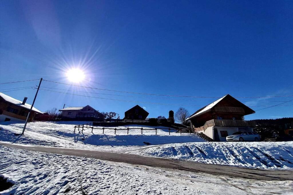 Le Bois des Neiges Charmant chalet authentique à 5 mn de Gérardmer v zimě