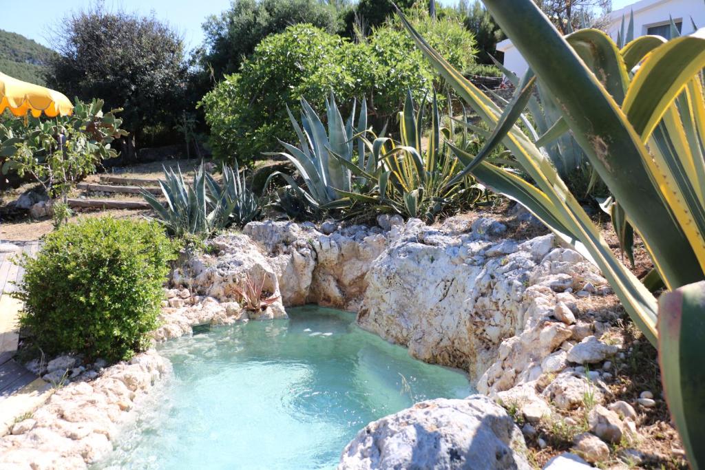 Um jardim no exterior de Albergo"Villa Biscotti"