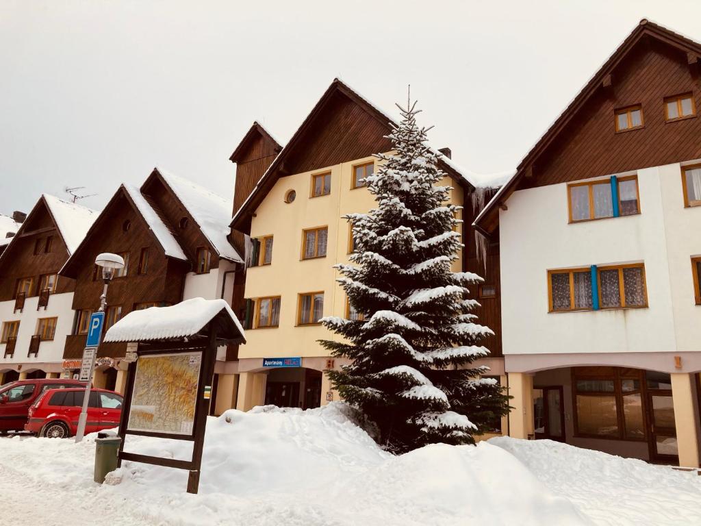 Horní Náměstí - One-Bedroom Apartment