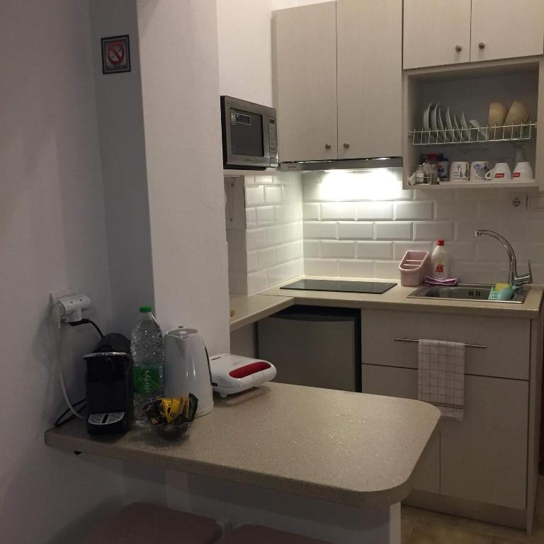 ILIOPOULOS Apartments - Studio Apartment With Sea View