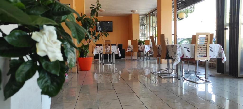 Restaurace v ubytování Hotel Vianello