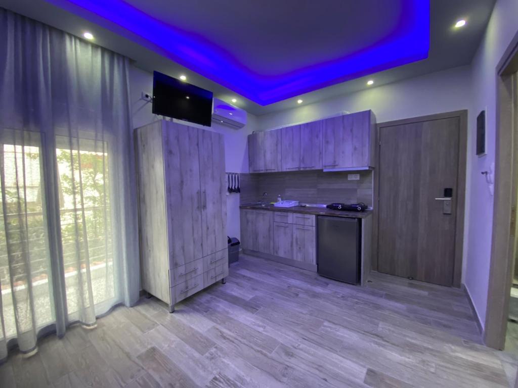Kuchyň nebo kuchyňský kout v ubytování Nikolaidis Apartments