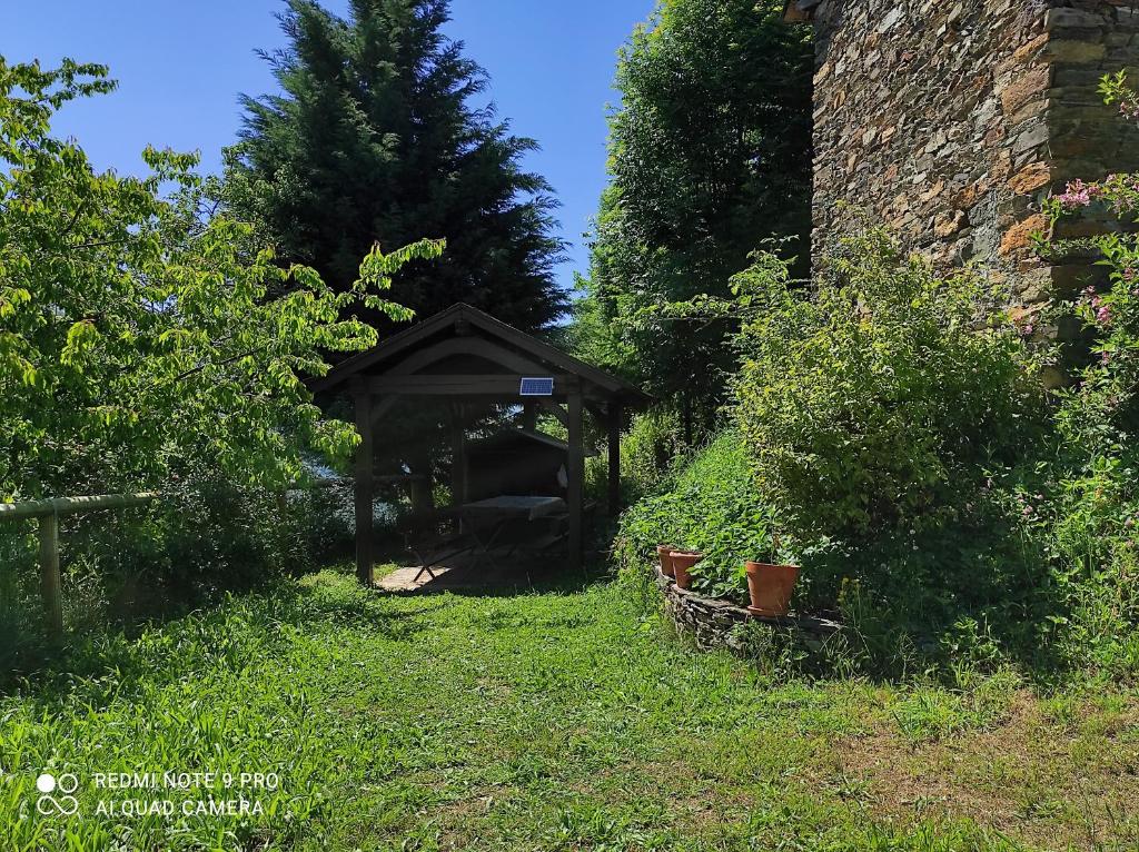 Zahrada ubytování Casa Colason