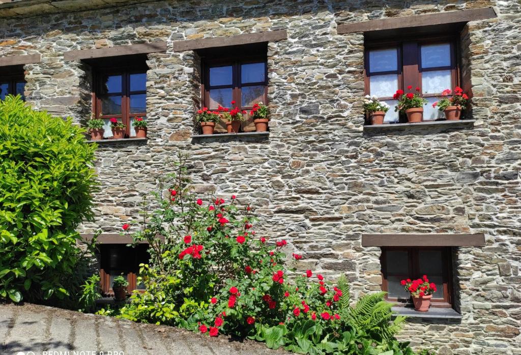 Zahrada ubytování Casa Colason