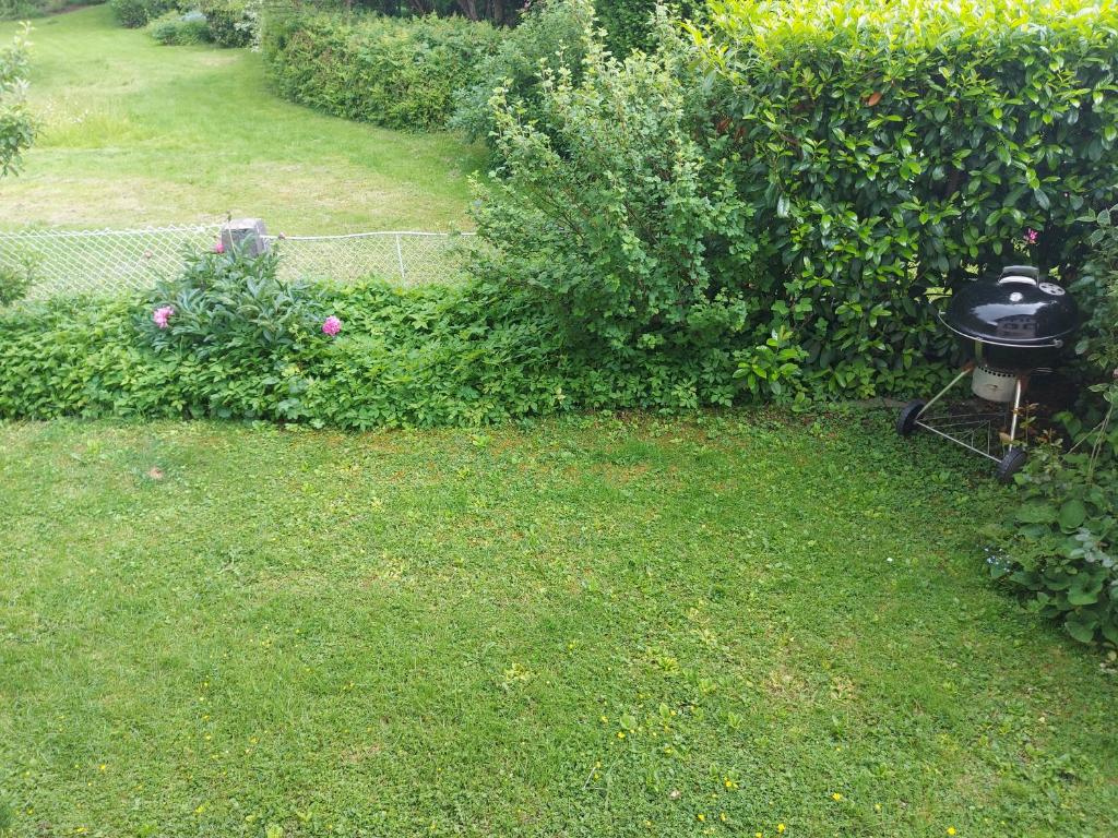 Zahrada ubytování Ferienhaus und Ferienappartements Brunner