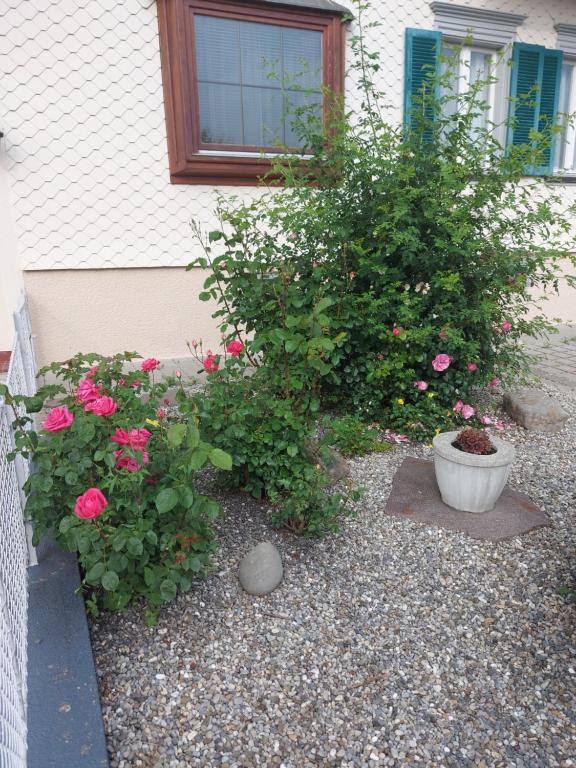 Zahrada ubytování Ferienhaus und Ferienappartements Brunner