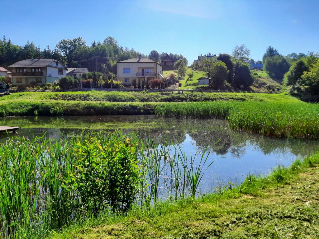 a pond in a field with houses in the background at Agroturystyka u Krystyny in Rybczewice