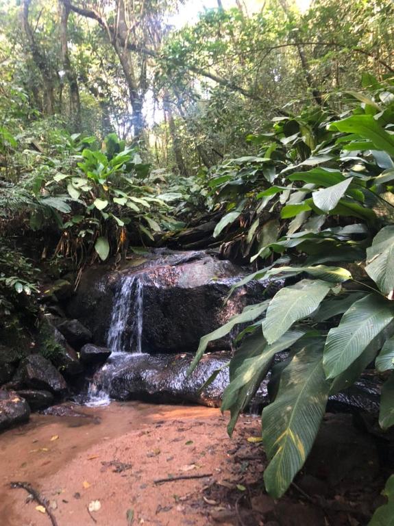  Sitio Arco Iris da Lia