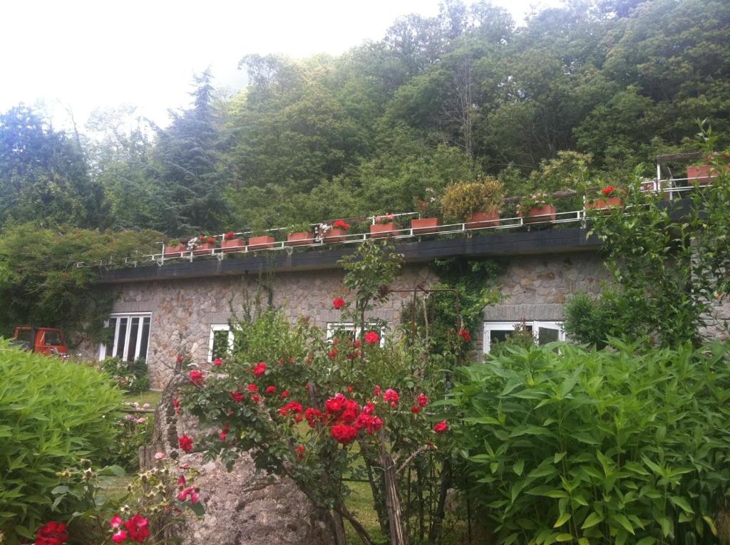 Vonkajšia záhrada v ubytovaní Hotel Parco Erosa