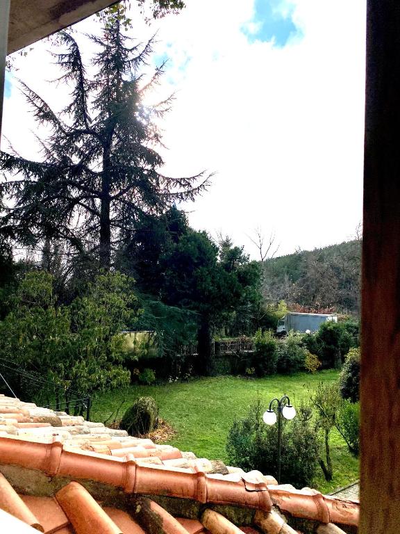 Príroda v okolí hotela