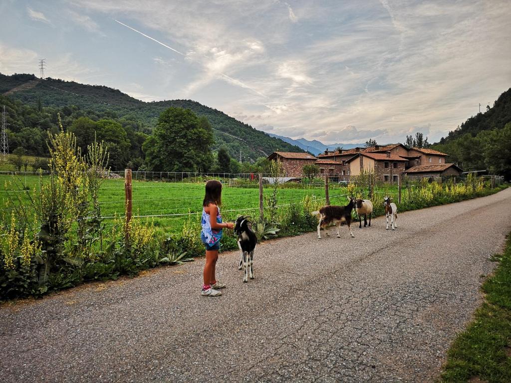 Casa rural Quintana - Montanuy, Montanúy – aktualizované ceny ...
