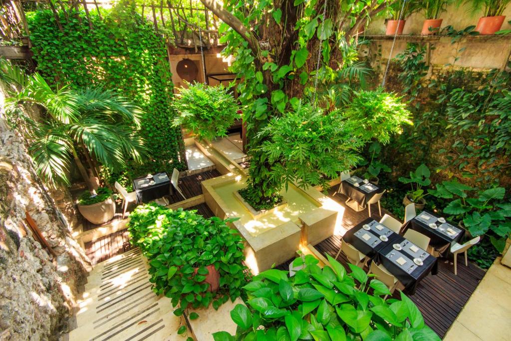 Zahrada ubytování Hotel Casa Lola Deluxe Gallery