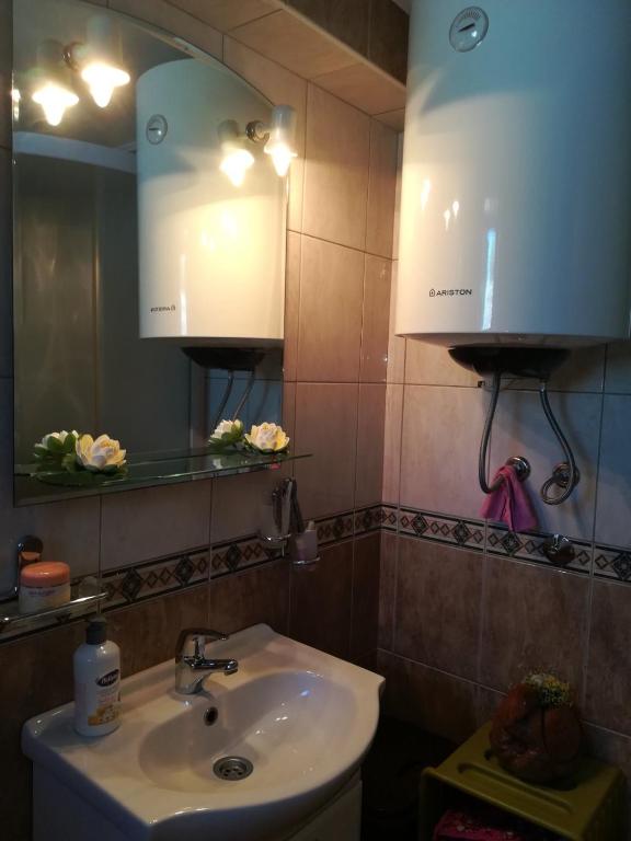 Koupelna v ubytování Holiday home Raduš