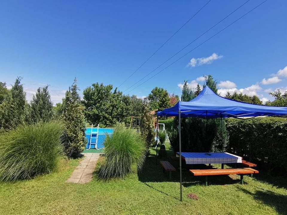 Ogród w obiekcie Klimatizált, medencés, jakuzzis nyaraló a Balatonnál!