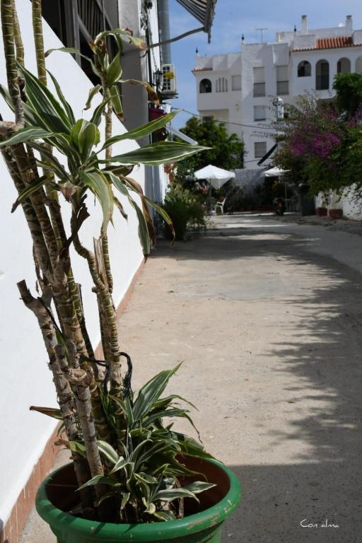 Zdjęcie z galerii obiektu Hostal Costa de la Luz w mieście Chipiona