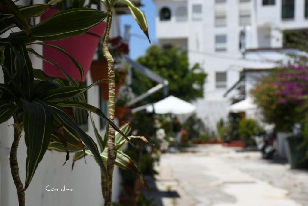 Ogród w obiekcie Hostal Costa de la Luz