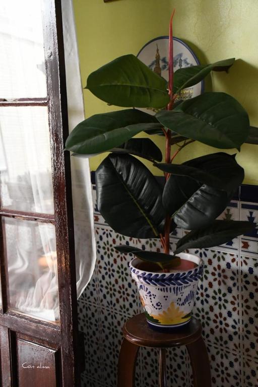Zdjęcie z galerii obiektu Hostal Costa de la Luz w mieście Chipiona