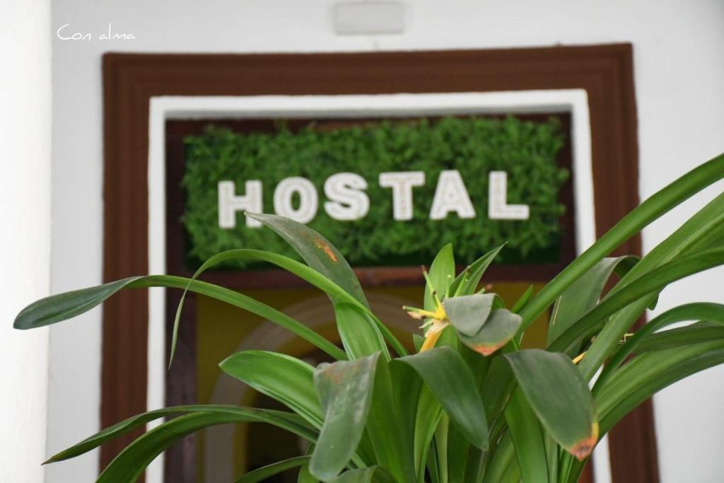 una planta delante de un letrero que dice hospital en Hostal Costa de la Luz, en Chipiona