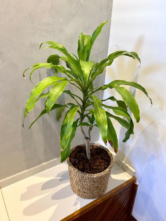  Apartamento na Praia