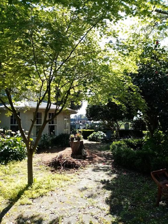 a yard with a tree and a bench and a house at Manakau House The Old Manakau Hotel 1920 in Manakau