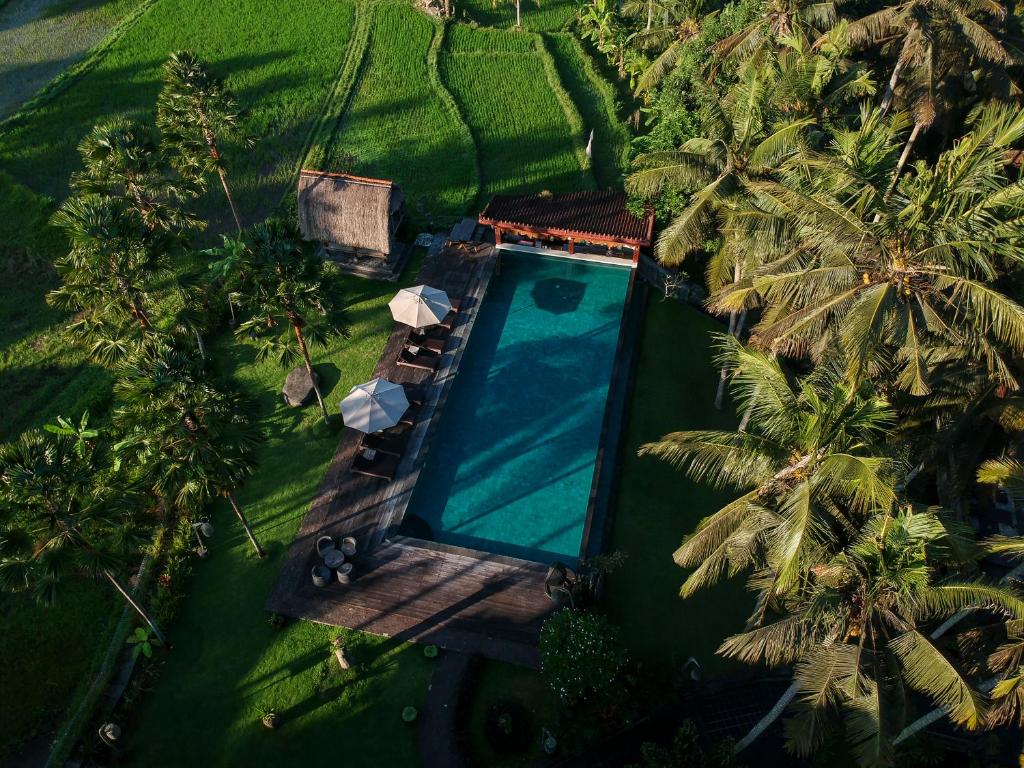 an overhead view of a swimming pool with palm trees at The Artini Dijiwa Ubud in Ubud