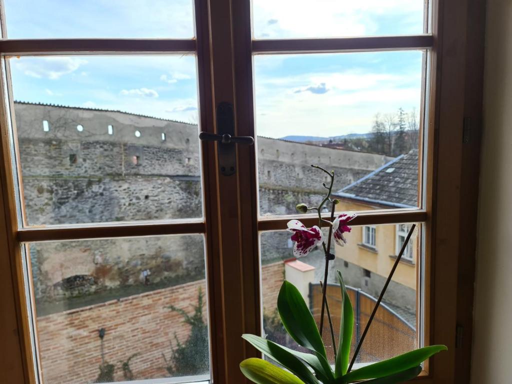 Fotografie z fotogalerie ubytování Penzion Hradební v destinaci Telč