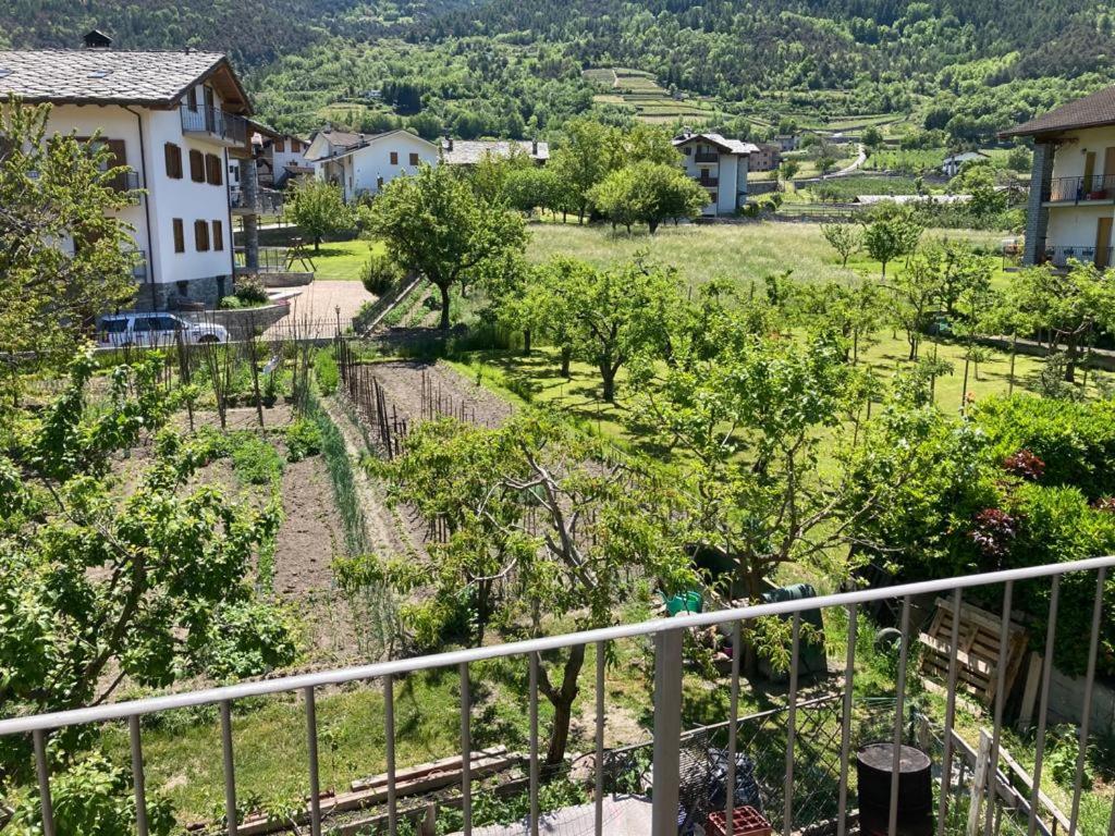 Príroda v okolí apartmánu