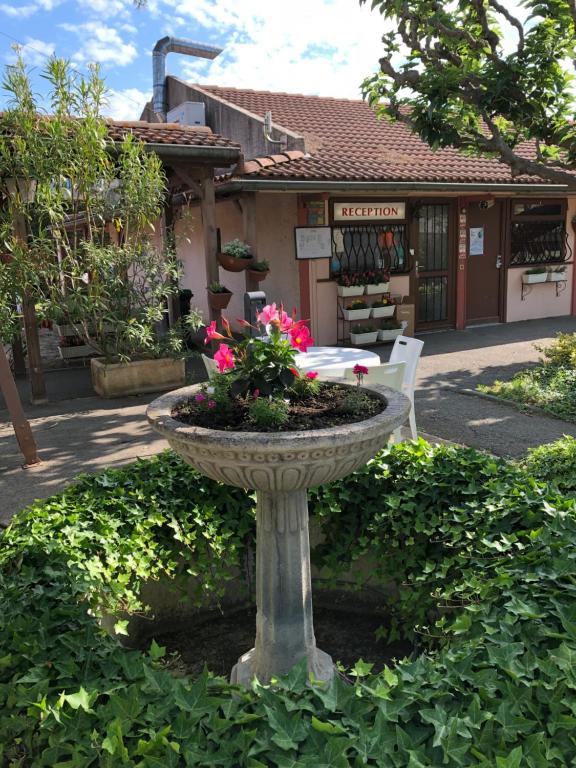 Zahrada ubytování Hotel Cristol